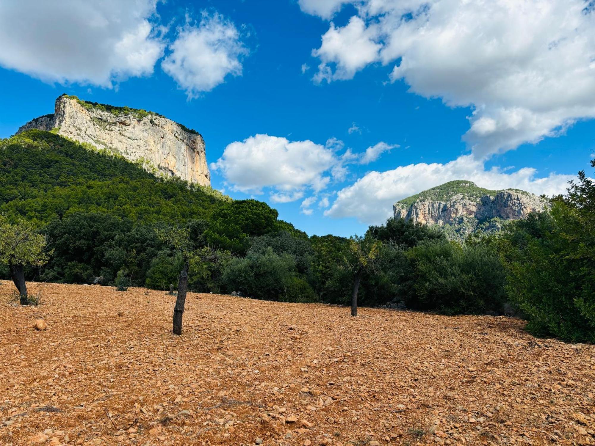 Maison d'hôtes Agroturismo Son Penyaflor à Alaró Extérieur photo